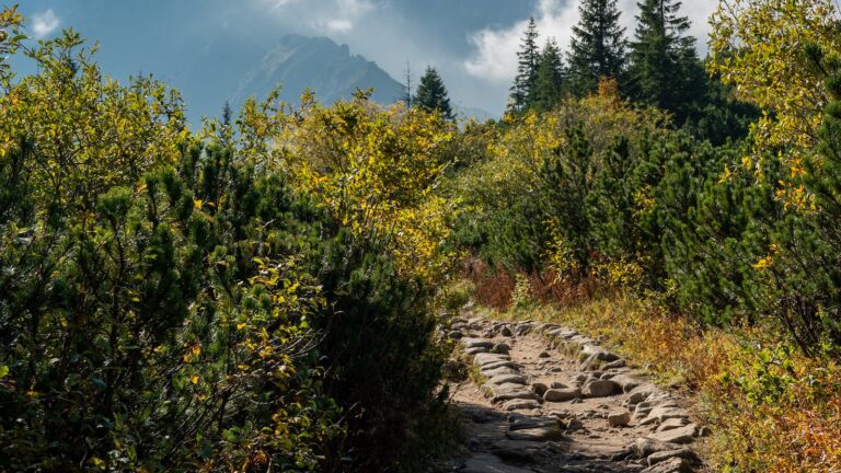 Odkryj Uroki Agd Zakopane: Blog podróżniczy