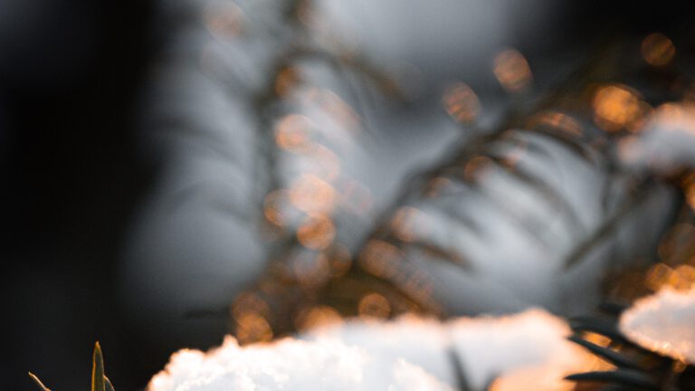 Naprawa sprzętu AGD w Łodzi-Bałutach: Fachowa pomoc w sąsiedztwie