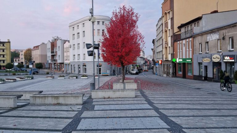 AGD Rybnik: Wybór najwyższej jakości sprzętu AGD w przystępnych cenach